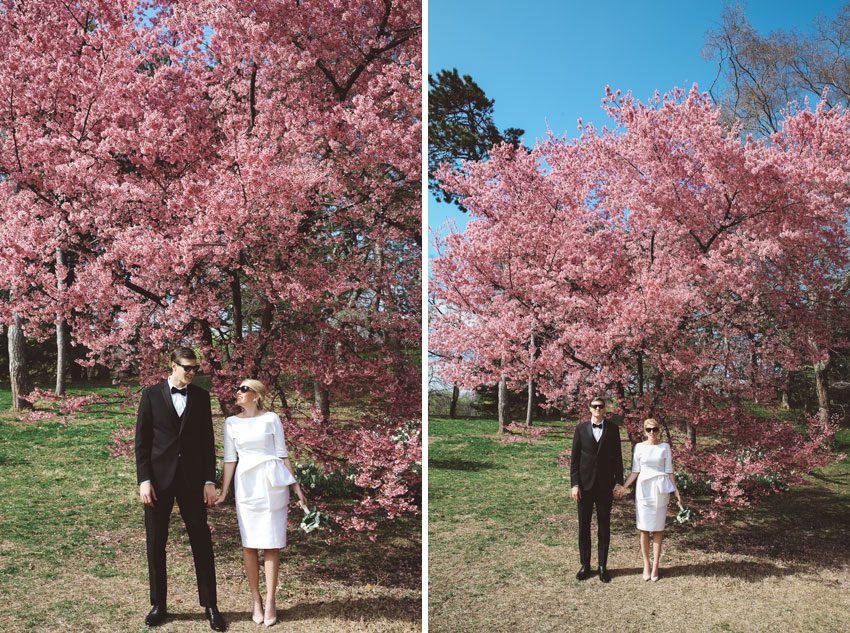 cherry blossoms central park wedding